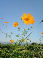 今日はやっとお休み