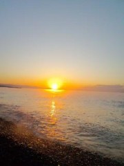 あけまして  おめでとう ございます