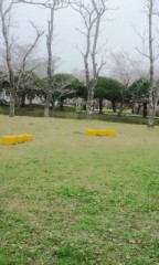 なんじゃこりゃ