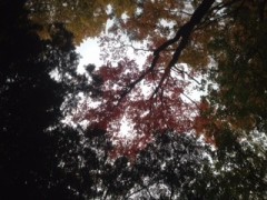 【お題日記】仕事中にムラムラしたらどうする？