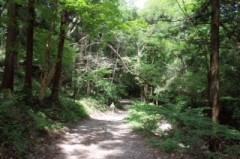 【お題日記】最近走りましたか？