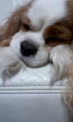 なんにもない休日(>_<)