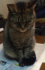 【お題日記】お友だちとの「お金の貸し借り」どう思う？