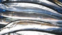 今日は天気いい～