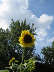 久しぶりのログ