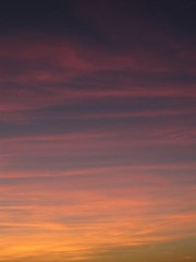 Those summer nights...