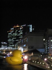 三度目のアヒル