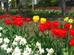 本州で一番寒い場所（You tube付けました）