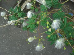 デジでの出会い（女性も見てね！）