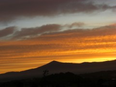 朝陽が目に沁みる