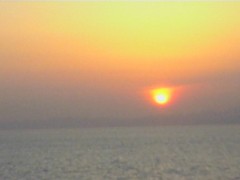 お出かけ報告１