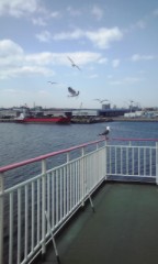 お出かけ報告２