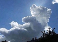 【お題日記】有料メルマガ取ってる？