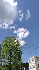 【お題日記】トライアスロン挑戦したことあります