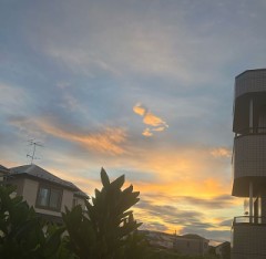 【お題日記】いつも●時に起きてます