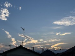 【お題日記】幸せの定義