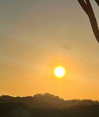 【お題日記】令和7年の抱負をどうぞ