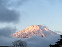 【お題日記】今年の初売り、何か買った？