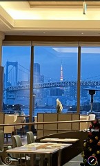 【お題日記】相手が完全な受け身だった時どうした？