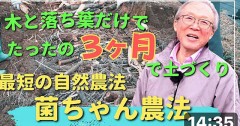 菌ちゃん農法、素人でも出来る元気な野菜作り