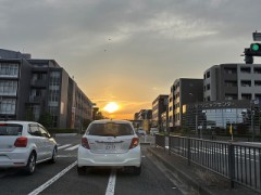 【お題日記】Hしながら別のこともできる？