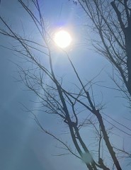 【お題日記】うちのベッドメチャいいもの買ってます