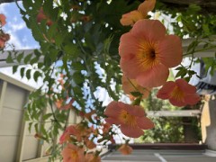 【お題日記】初めて相手のアソコを見た時の感想は？