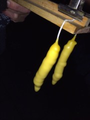 ち○ぽではありません、何でしょう？