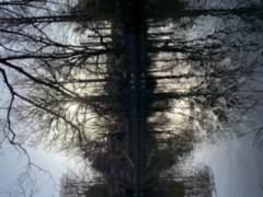 【お題日記】お気に入りの写真見せて