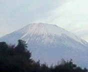 やっと報告できます！