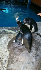 【お題日記】今年のGWを振り返ってみる