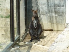 【お題日記】体のお手入れしっかりしてる？　　　可愛い！！