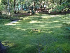 【お題日記】憧れのデートプラン    足、疲れた(>_<)