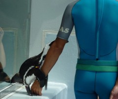 【お題日記】雨の日のデートのオススメは？