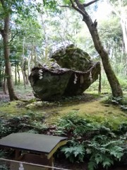 【お題日記】好きな前戯・嫌いな前戯