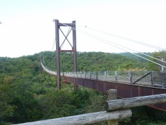 やっぱり自然は良い