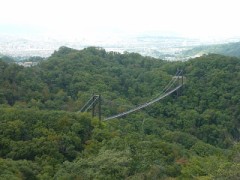 【お題日記】お酒は飲んでる方が盛り上がる？