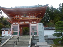 今週は、行けなかった(..)