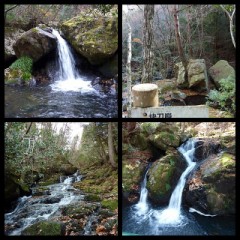 【お題日記】秋の行楽はどこに行った？