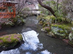 【お題日記】今年はどれくらいHできた？