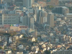 あれが載ってました