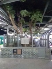 駅に◯◯が(; ﾟ ﾛﾟ)