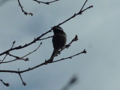 【お題日記】この人変態だなって思った瞬間