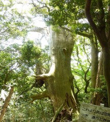 【お題日記】自粛で困ってたこと