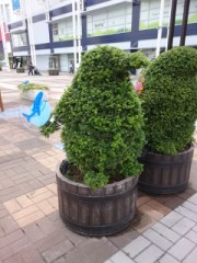 【お題日記】どんなプロフィール画像が好き？      可愛い