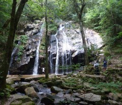 【お題日記】毎週見てるドラマある？ ＋  綺麗