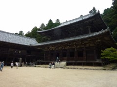 のほほん(;´д｀)