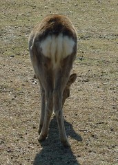 また、行けたら行こうかな