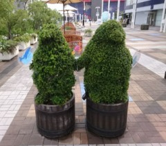 知らなかった！