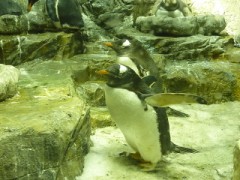 改めて見て考えると